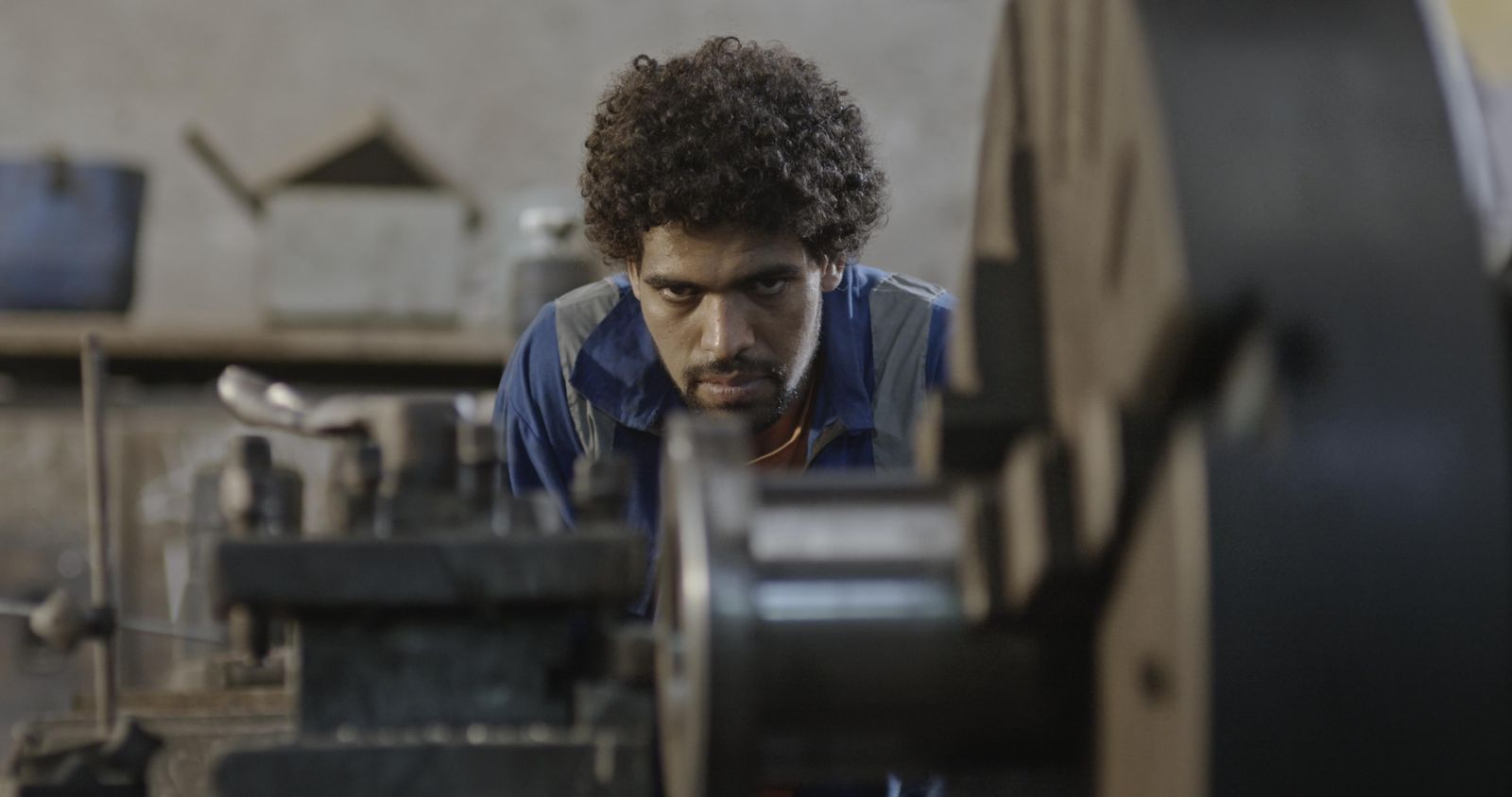 8f6e415650.jpg