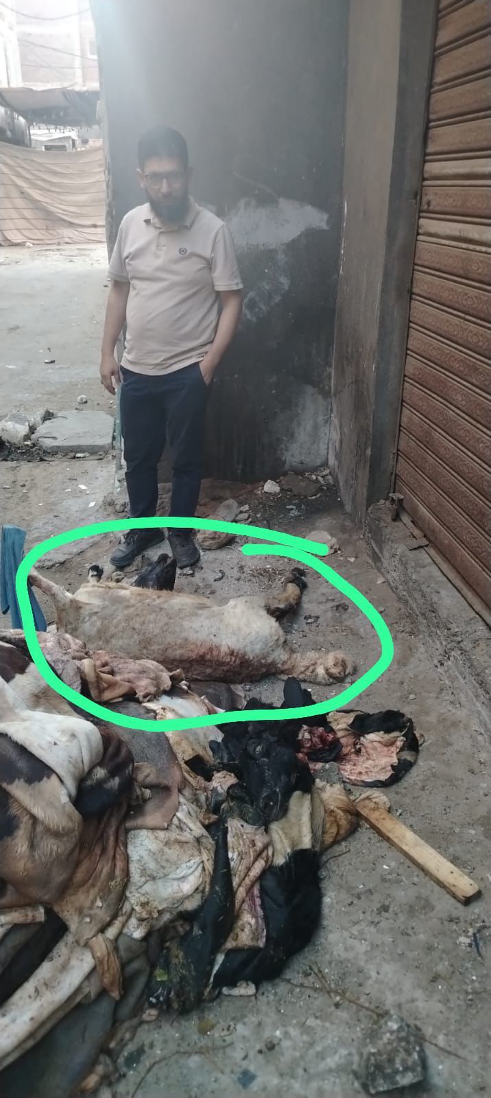 5dd4b3794c.jpg