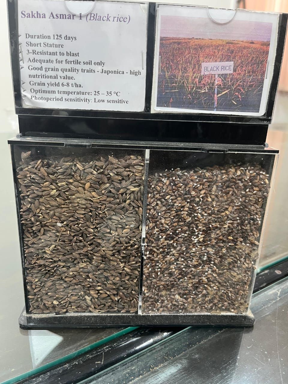 bacfb6605c.jpg