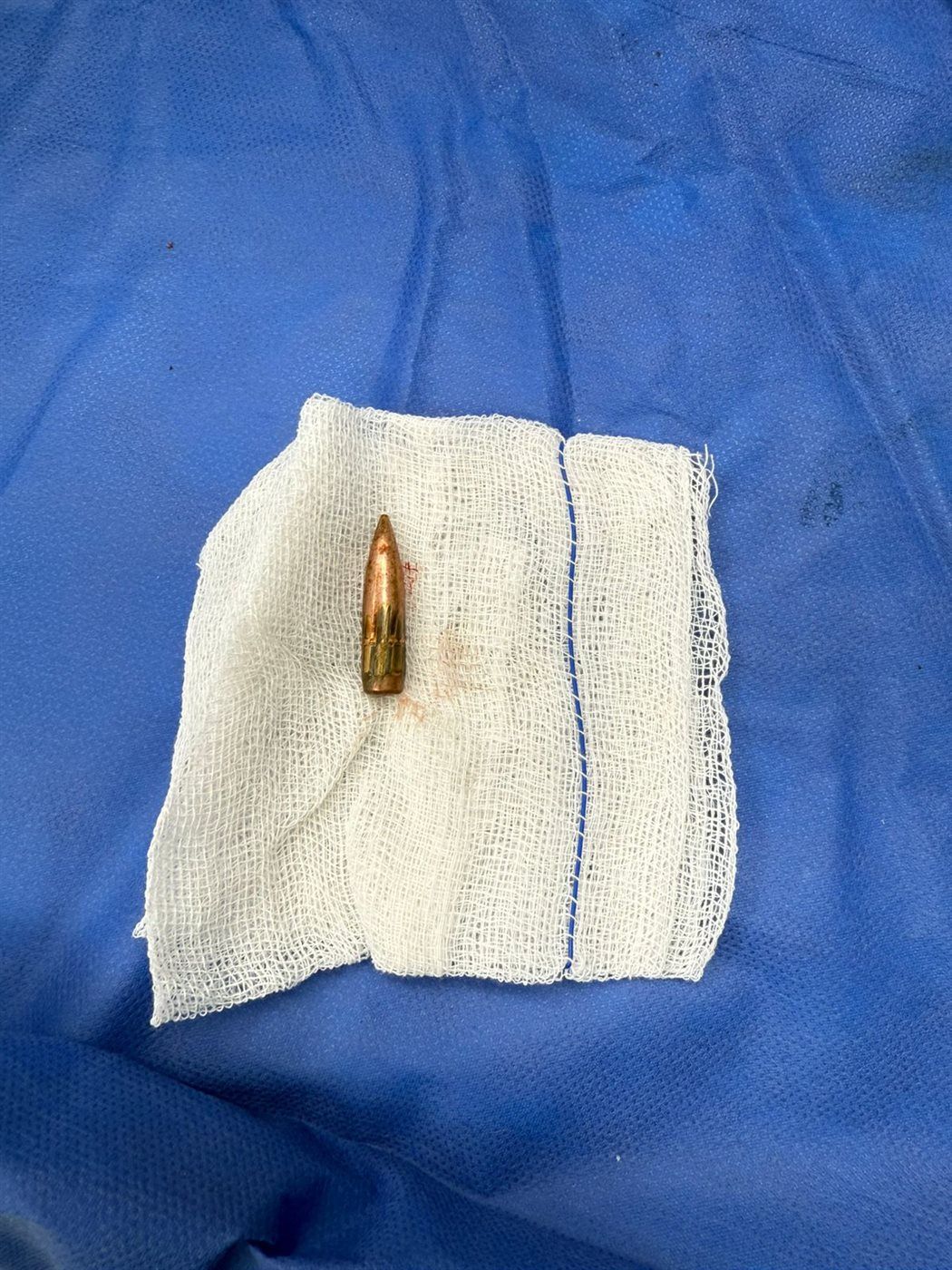 02d50e8423.jpg
