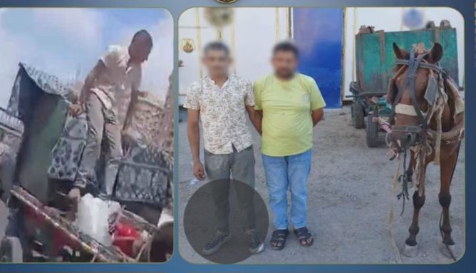 سرقا صندوق القمامة بعربة كارو.. سقوط عاطلين بحوزتهما متعلقات إحدى شركات النظافة بالإسكندرية