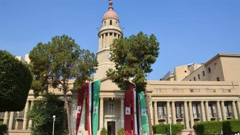 قصر العيني، فيتو