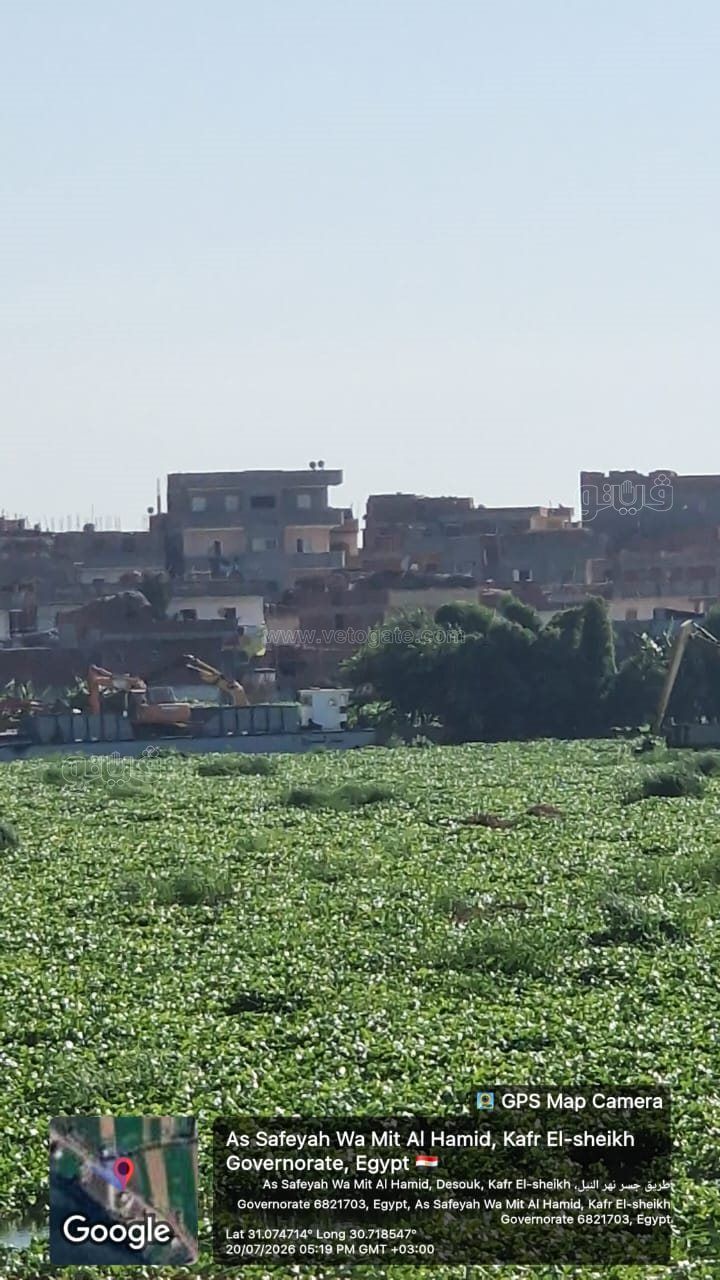 9d18da907e.jpg
