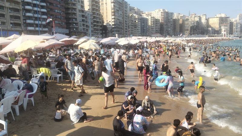 شواطئ الإسكندرية