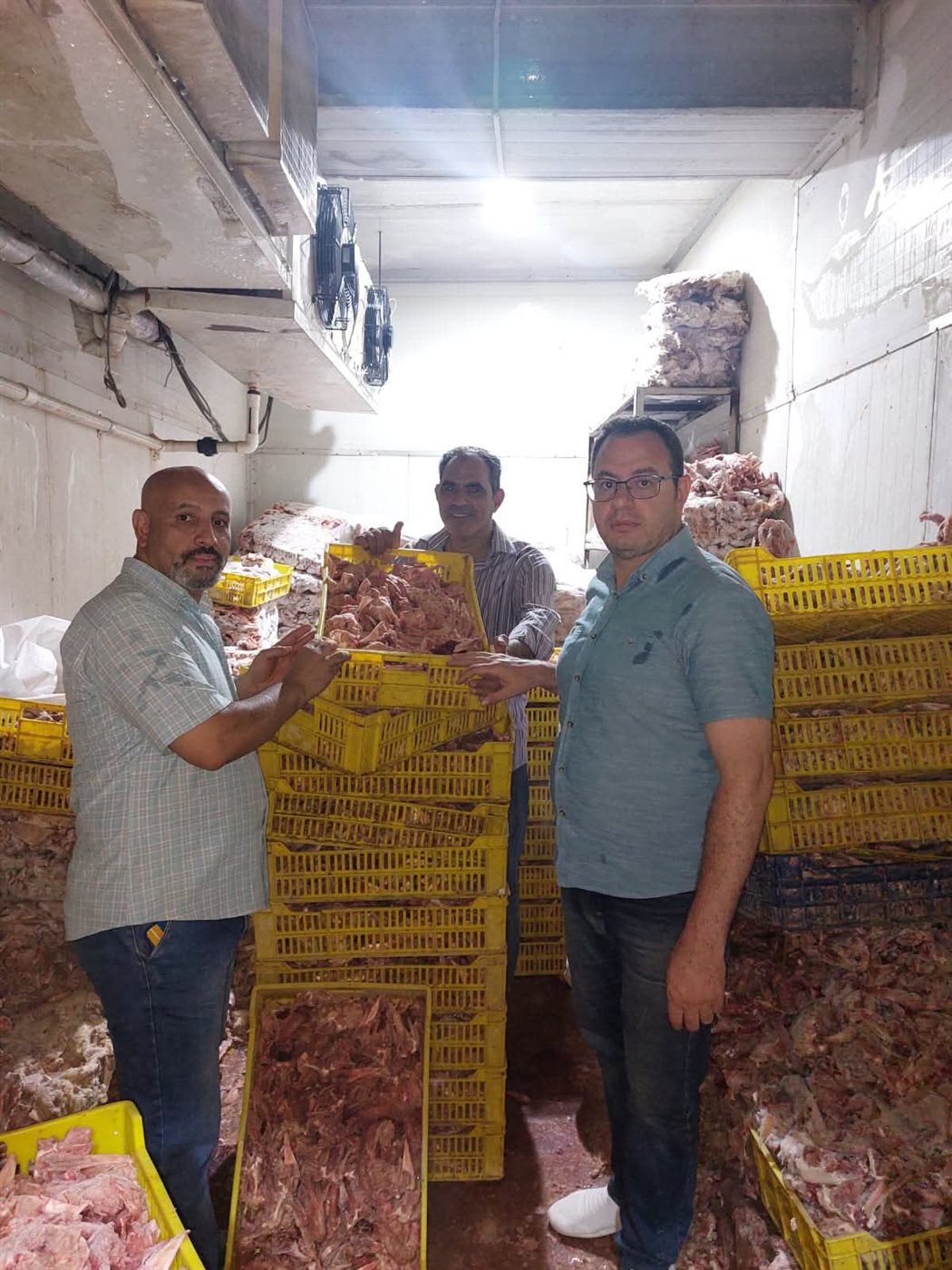 ضبط 28 طن لحوم وأغذية فاسدة و36 ألف زجاجة مشروبات طاقة مجهولة المصدر بالجيزة