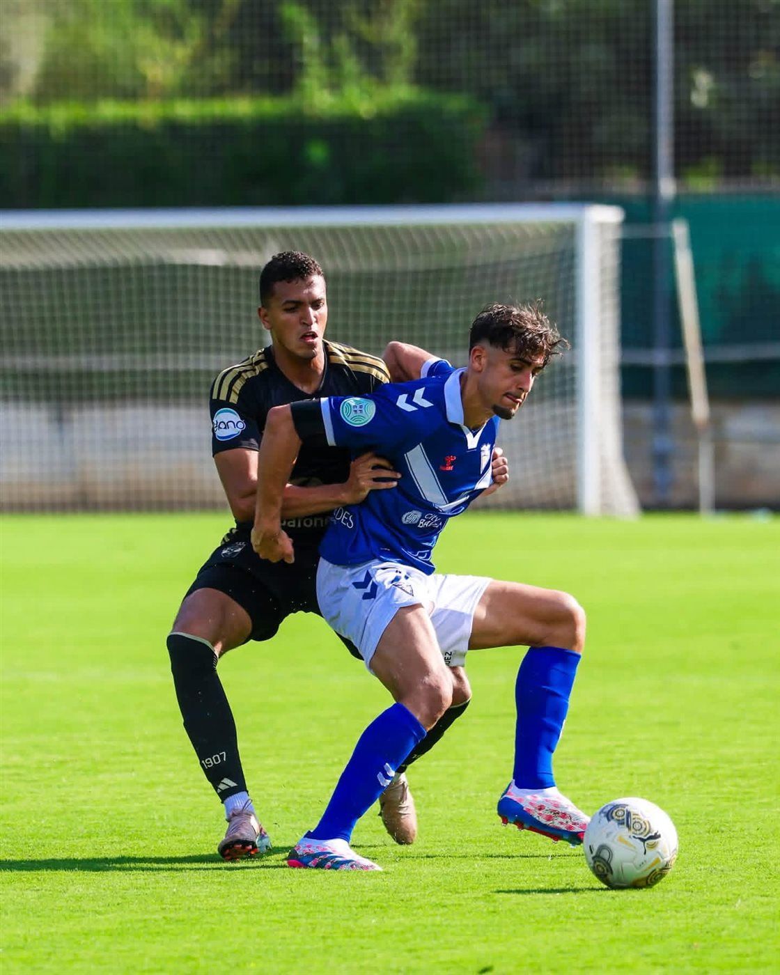 9ca44683ca.jpg