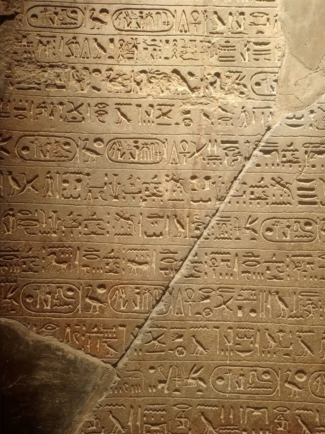 3aee7420ce.jpg