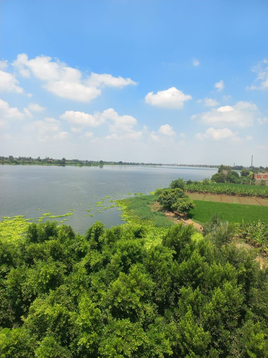 52c9364651.jpg