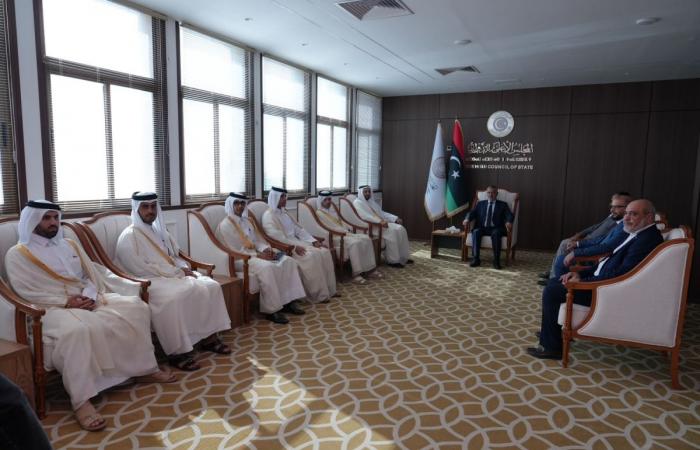 رئيس المجلس الأعلى لدولة ليبيا يجتمع مع وزير الدولة بوزارة الخارجية