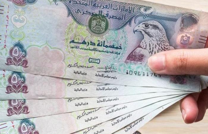 تراجع سعر الدرهم الإماراتي أمام الجنيه في البنوك المصرية اليوم الأربعاء
