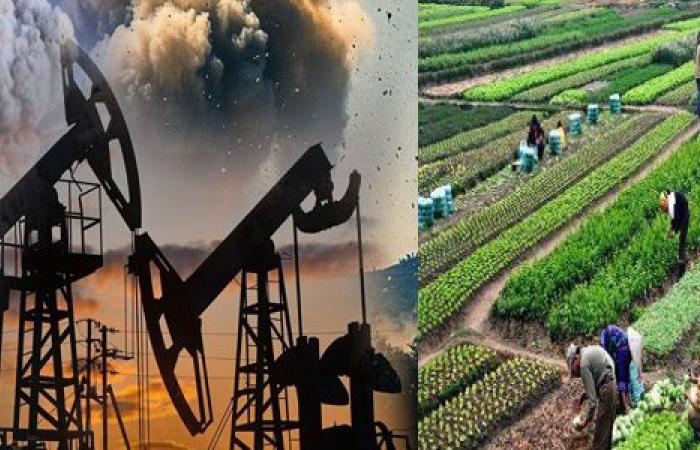 المواطن لا يستطيع خفض استهلاكه إلى ما لا نهاية.. سمير رؤوف يكشف لـ فيتو كيف غير "اقتصاد الندرة" سلوك المستهلك المصري وأجبره على البحث عن البدائل