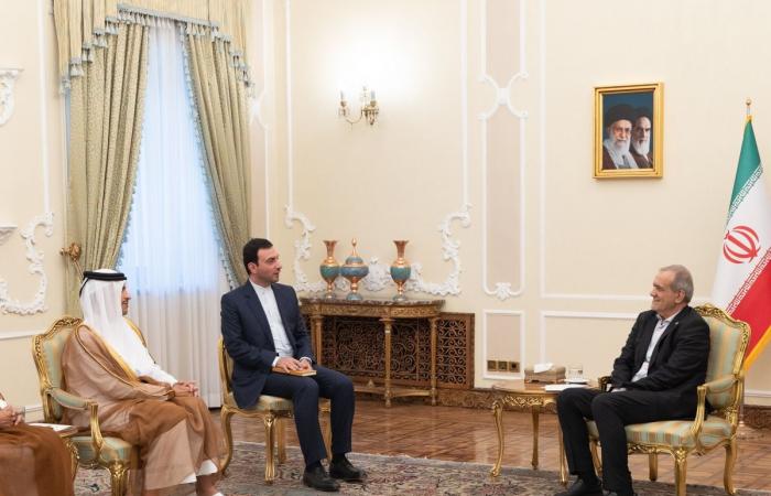 رئيس مجلس الوزراء: الحوار والحلول الدبلوماسية السبيل الأمثل لتجاوز الأزمات