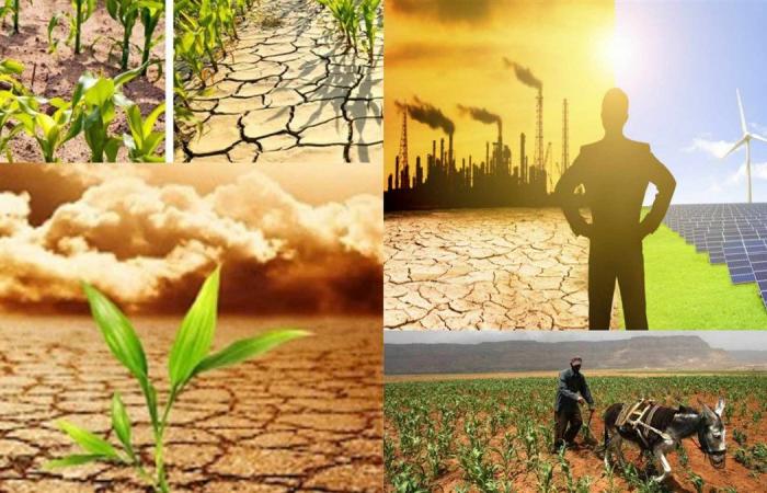 المواطن لا يستطيع خفض استهلاكه إلى ما لا نهاية.. سمير رؤوف يكشف لـ فيتو كيف غير "اقتصاد الندرة" سلوك المستهلك المصري وأجبره على البحث عن البدائل