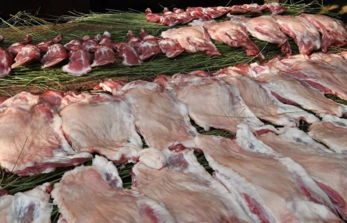 اكتفاء ذاتي لـ9 منتجات غذائية