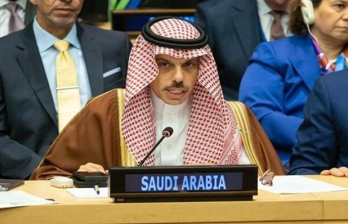 وزير الخارجية: المرحلة المقبلة تتطلب إصلاحاً جاداً لمنظمة التعاون الإسلامي