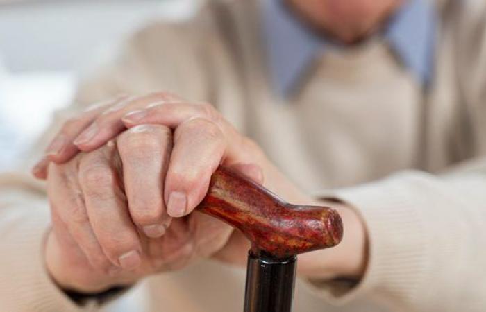 بدون انتظار أو مزاحمة، كيف تنهي معاملاتك الحكومية مجانًا وبامتيازات خاصة بعد سن الـ60؟