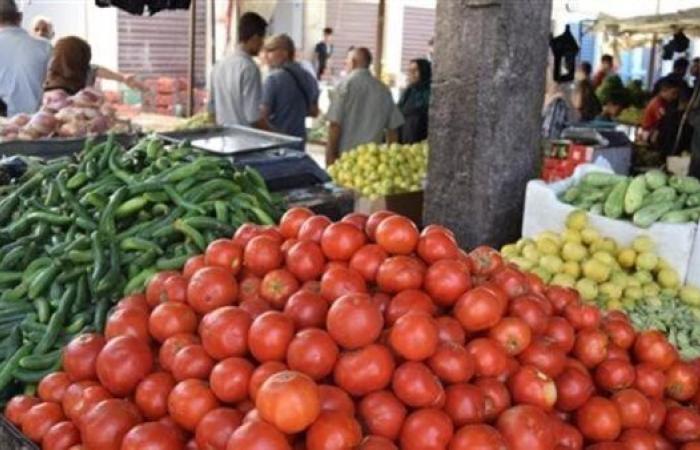 سعر الخضار اليوم، ارتفاع 10 أصناف منها الطماطم والخيار والفلفل وانخفاض البامية