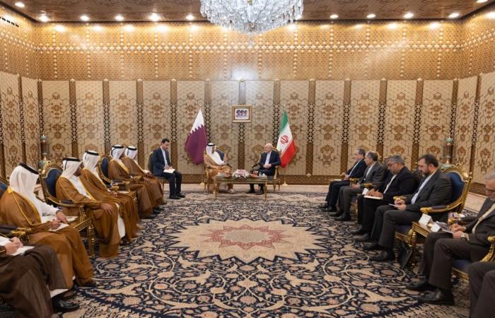 رئيس مجلس الوزراء وزير الخارجية يجتمع مع رئيس مجلس الشورى الإيراني
