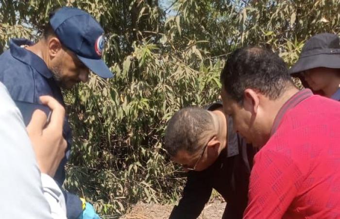 صحة الغربية تستقبل وفدا صينيا لتبادل الخبرات في مجال الأمراض المتوطنة (صور)