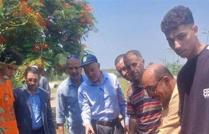 زراعة الشرقية تنفذ يوما حقليا لمحصول الأرز بالإبراهيمية