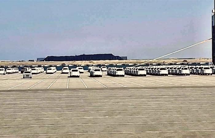 استقبال مينائى شرق وغرب بورسعيد سفينتي دحرجة سيارات خلال 48 ساعة