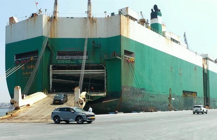 استقبال مينائى شرق وغرب بورسعيد سفينتي دحرجة سيارات خلال 48 ساعة