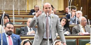 عضو بـ«النواب»: مصر تتعرض لحملة ممنهجة من الشائعات لإبعادها عن دعم فلسطين