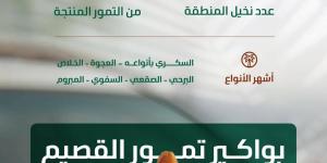 «البيئة»: موسم جني بواكير التمور بالقصيم يعزز الحراك الاقتصادي بالمملكة