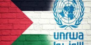 «الأونروا»: تهجير الفلسطينيين نحو رفح سيخلف «معسكرات اعتقال جماعية»
