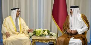 منصور بن زايد يبحث مع أمير قطر سبل تعزيز التعاون