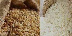 سعر
الأرز
الشعير
اليوم
..كم
سعر
طن
الأرز
الشعير
الآن
2025
؟(تحديث)