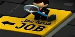 فرص
      حكومية
      ذهبية
      قبل
      نهاية
      العام..
      وظائف
      قيادية
      وتخصصية
      برواتب
      مستقرة
      وآخر
      مواعيد
      التقديم