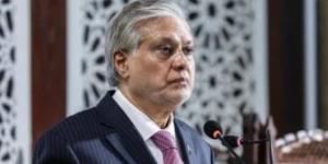 وزيرا خارجية باكستان وتركيا يبحثان آخر التطورات الإقليمية