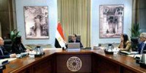 رئيس الوزراء: التوسع في العمل عن بُعد خلال الفترة المقبلة لمواجهة استمرار الأزمة