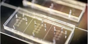 شريحة تحاكي 40 عاماً من الشيخوخة في 4 أيام