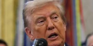 ترامب: حرب إيران كانت اختبارا للناتو ويؤكد نمر من ورق ولم يقم بأى دور