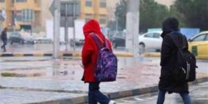 هل غدا إجازة من المدارس الخميس.. التفاصيل الكاملة