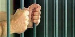 المشدد 6 سنوات على تاجر شابو في سوهاج