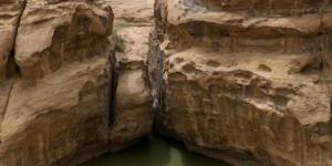 طلائع الربيع بتبوك تعزز الجذب السياحي