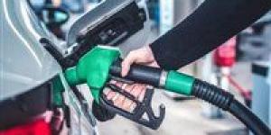 استقرار
      سعر
      البنزين
      اليوم
      في
      مصر
      بجميع
      المحطات..
      وتكذيب
      شائعات
      الزيادة
      الجديدة