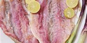 وزارة
      الصحة
      توجه
      نصائح
      طبية
      ووقائية
      لتجنب
      أخطار
      التسمم
      الناتج
      عن
      تناول
      الأسماك
      المملحة