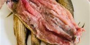 اعرف
      هتشتري
      بكام..أسعار
      الفسيخ
      والرنجة
      في
      مصر
      قبل
      شم
      النسيم
      2026