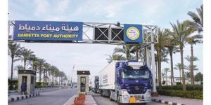 وزارة
النقل:
تواصل
تدفق
الشحنات
الأوروبية
المتجهة
إلى
دول
الخليج
عبر
خط
«الرورو»