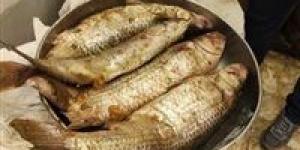 أعراض
      التسمم
      الغذائي
      من
      الرنجة
      والفسيخ
      وطرق
      الوقاية
      في
      شم
      النسيم