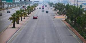 زراعة 3.3 ملايين شجرة بالشرقية