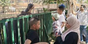إقبال متوسط على حديقة الحيوان بالفيوم في شم النسيم.. وأجواء عائلية هادئة بعيدًا عن الزحام