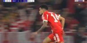 البايرن
ضد
الريال..
ملخص
اهداف
ونتيجة
مباراة
ريال
مدريد
وبايرن
ميونخ
في
دوري
أبطال
أوروبا
بعد
هدف
لويس
دياز