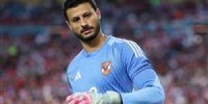 حقيقة
      اعتزال
      محمد
      الشناوي
      بعد
      أزمة
      مباراة
      سيراميكا..
      شوبير
      يحسم
      الجدل