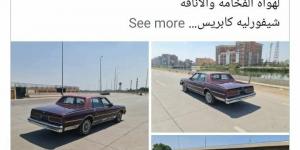 هند
      سعيد
      صالح
      تنفي
      عرض
      سيارة
      والدها
      للبيع:
      بلاش
      استخدام
      اسمه
      في
      الكذب