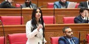 تحرك
      برلماني
      بسبب
      فجوة
      تطبيق
      التيسيرات
      الجمركية
      لنظام
      الترانزيت
      وتأثيرها
      على
      بيئة
      الأعمال